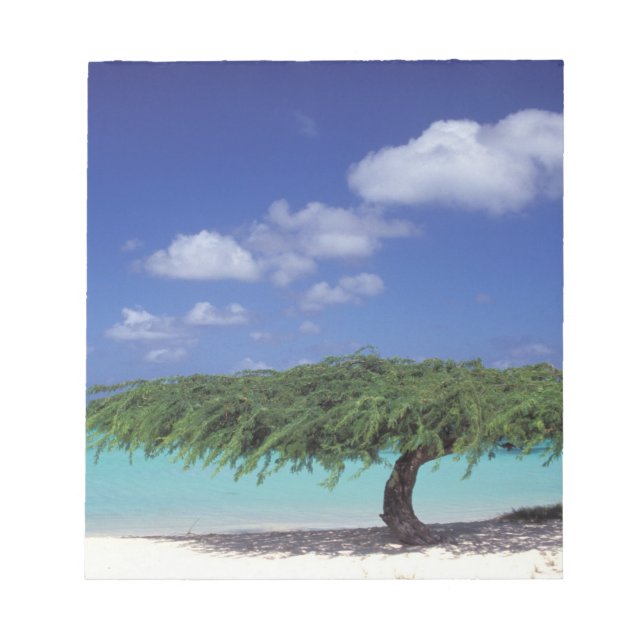 Karibien, Aruba. Eagle Beach Anteckningsblock (Framsida)