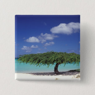 Karibien, Aruba. Eagle Beach Knapp