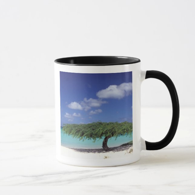 Karibien, Aruba. Eagle Beach Mugg (Höger)