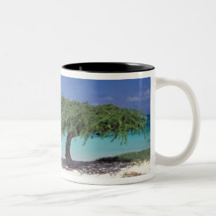 Karibien, Aruba. Eagle Beach Två-Tonad Mugg