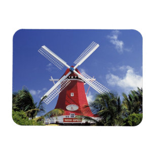 Karibien, Aruba. Gammal kvarn, ombyggd till 'Kvarn Magnet