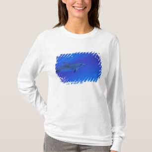 Karibien, Bahamas Fläckig delfin T-shirt