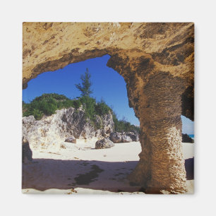 Karibien, Bermuda, Tucker's Town. Naturlig Magnet