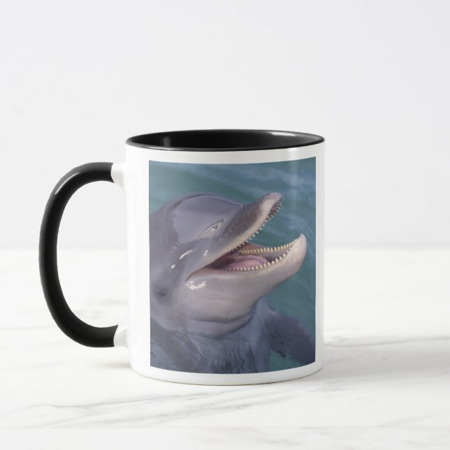 Karibien, Flaschendelfin Mugg (Vänster)