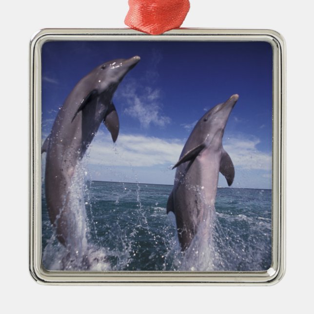 Karibien, Flaschendelfiner Tursiops Julgransprydnad Metall (Framsidan)