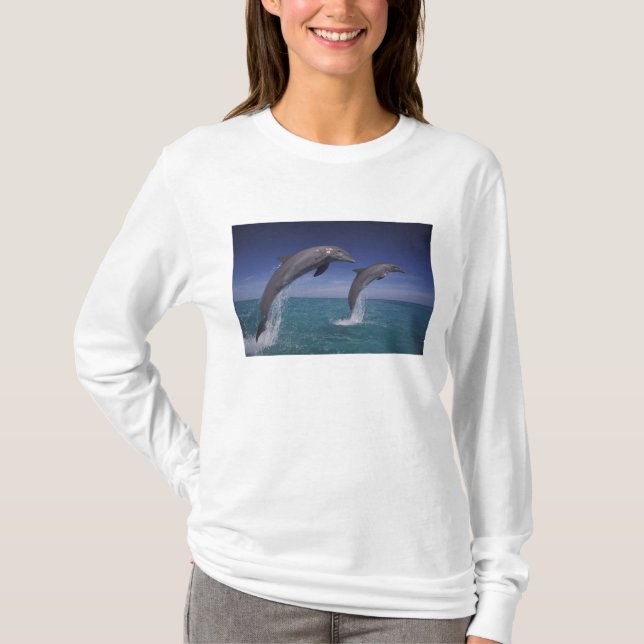 Karibien, Flaschendelfiner Tursiops T-shirt (Framsida)