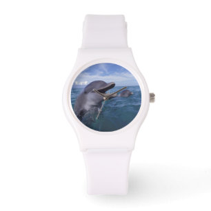 Karibien, Flaschennäsa Armbandsur