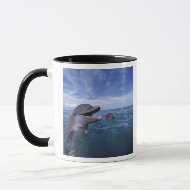 Karibien, Flaschennäsa Mugg (Vänster)