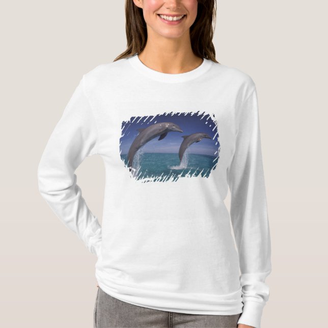 Karibien, Flaschentumdelfiner Tursiops T-shirt (Framsida)