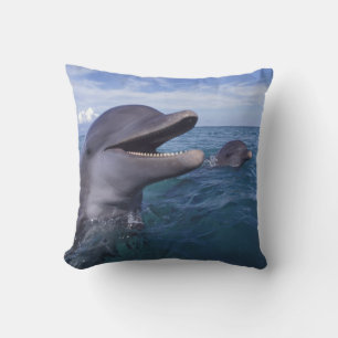 Karibien, Flasknosdelfin Kudde