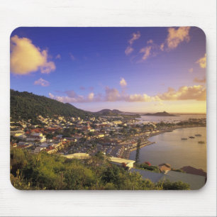 Karibien, Franska Västindien, St. Martin. Musmatta