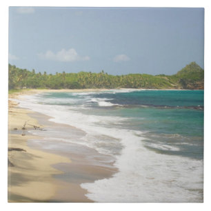 Karibien, GRENADA, Östkust, Grenada Bay, Kakelplatta