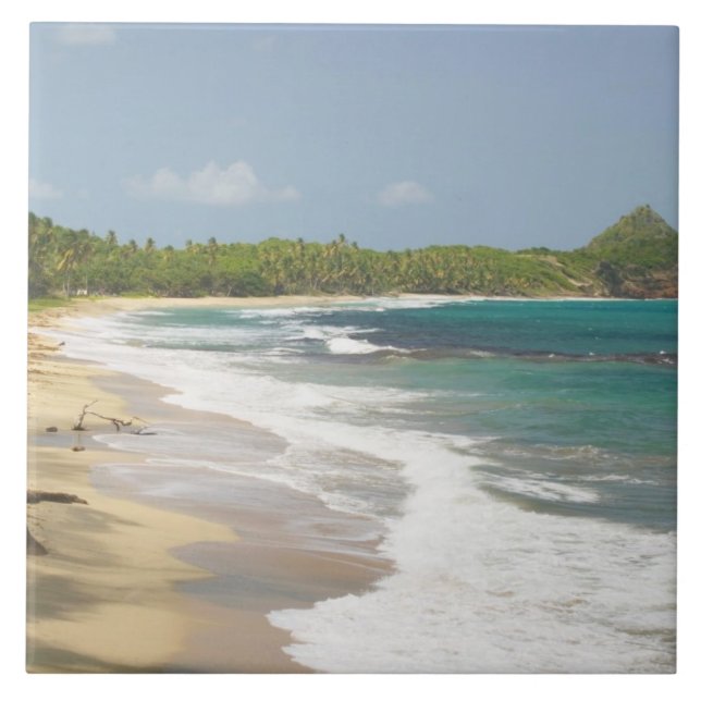 Karibien, GRENADA, Östkust, Grenada Bay, Kakelplatta (Framsidan)