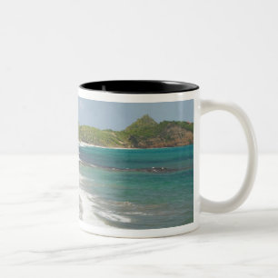 Karibien, GRENADA, Ostkusten, Grenada Bay, Två-Tonad Mugg