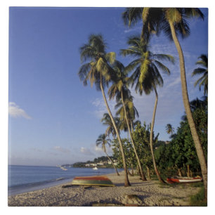 KARIBIEN, Grenada, St. George, Båtar på palm Kakelplatta