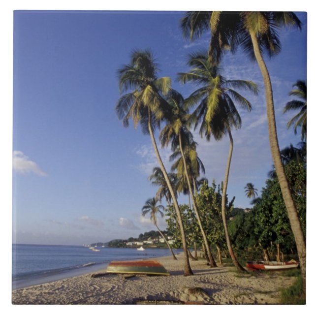 KARIBIEN, Grenada, St. George, Båtar på palm Kakelplatta (Framsidan)