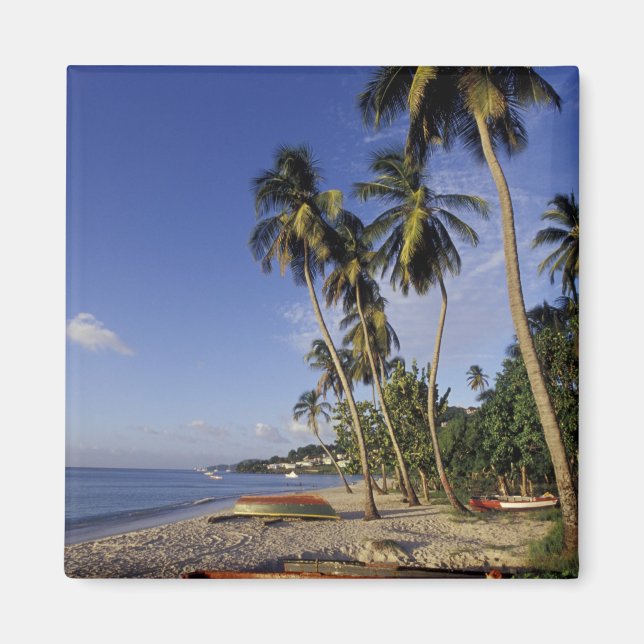 KARIBIEN, Grenada, St. George, Båtar på palm Magnet (Framsidan)