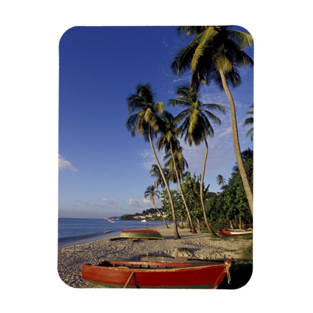KARIBIEN, Grenada, St. George, Båtar på palm Magnet (Vertikal)