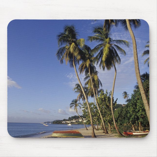 Karibien, Grenada, St. George, Båtar på palm Musmatta (Framsidan)