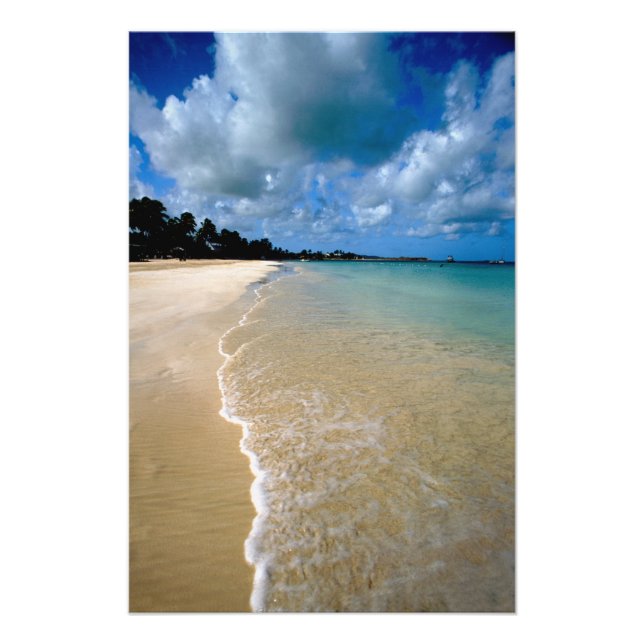 Karibien, Leewardöarna, Antigua, Dickenson Fototryck (Framsidan)
