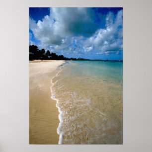 Karibien, Leewardöarna, Antigua, Dickenson Poster