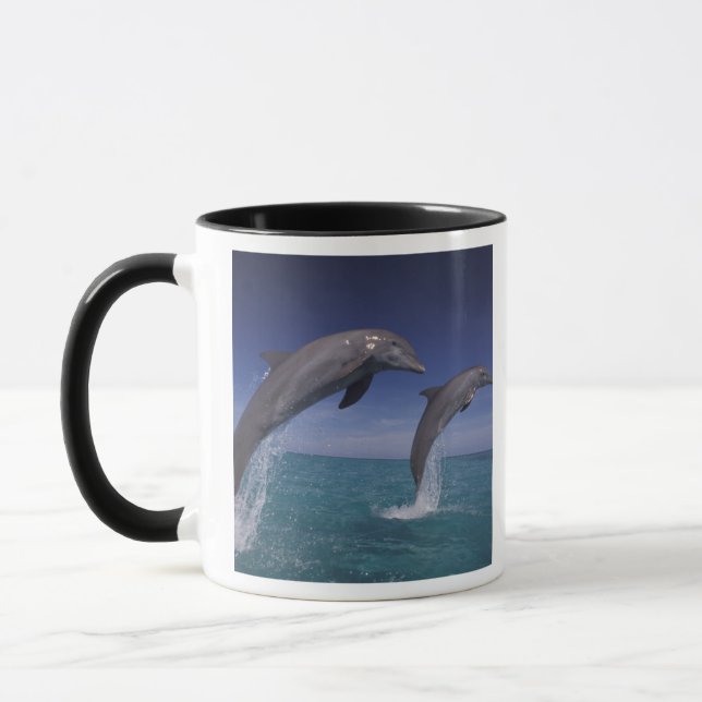 Karibien, Öresvin Tursiops Mugg (Vänster)