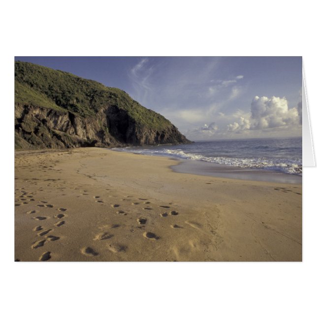 Karibien, St. Kitts. Fotspår på Atlanten Hälsningskort (Framsidan Horizontal)