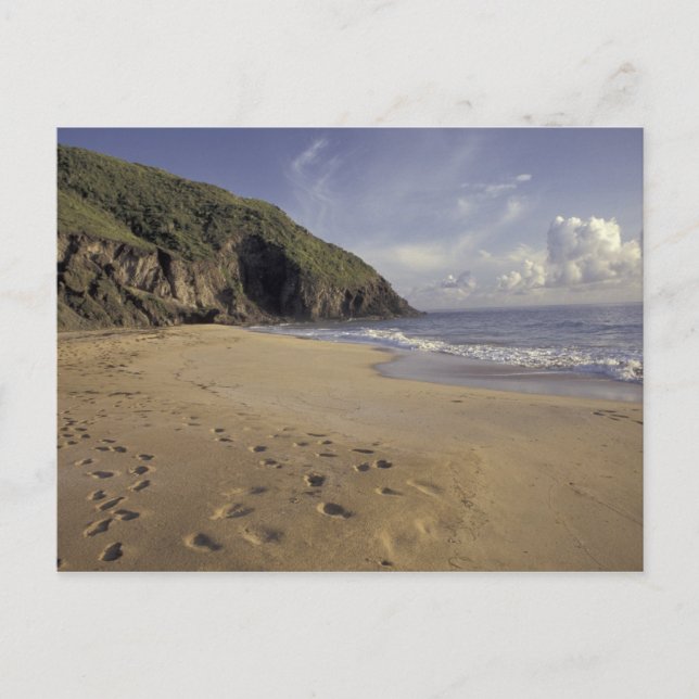 Karibien, St. Kitts. Fotspår på Atlanten Vykort (Framsida)