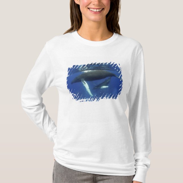 Karibien, Stora Antillerna arkipelag, T-shirt (Framsida)