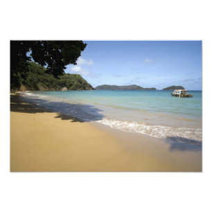 Karibien - Tobago - Beach längs Atlanten Fototryck