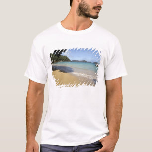 Karibien - Tobago - Strand längs Atlanten Tee