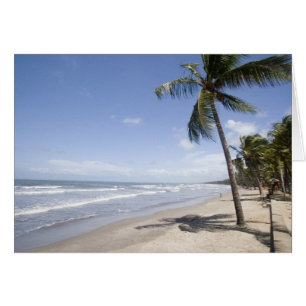 Karibien - Trinidad - Manzanilla Beach 2 Hälsningskort