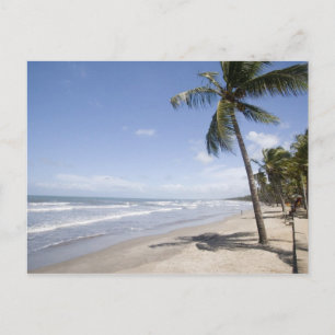 Karibien - Trinidad - Manzanilla Beach den 2 Vykort