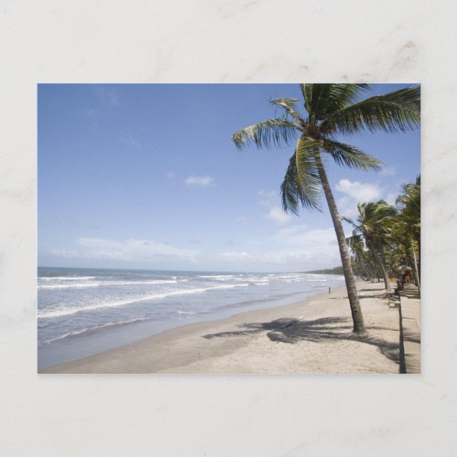 Karibien - Trinidad - Manzanilla Beach den 2 Vykort (Framsida)