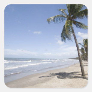 Karibien - Trinidad - Manzanilla Beach på 2 Fyrkantigt Klistermärke