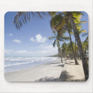 Karibien - Trinidad - Manzanilla Beach på Musmatta