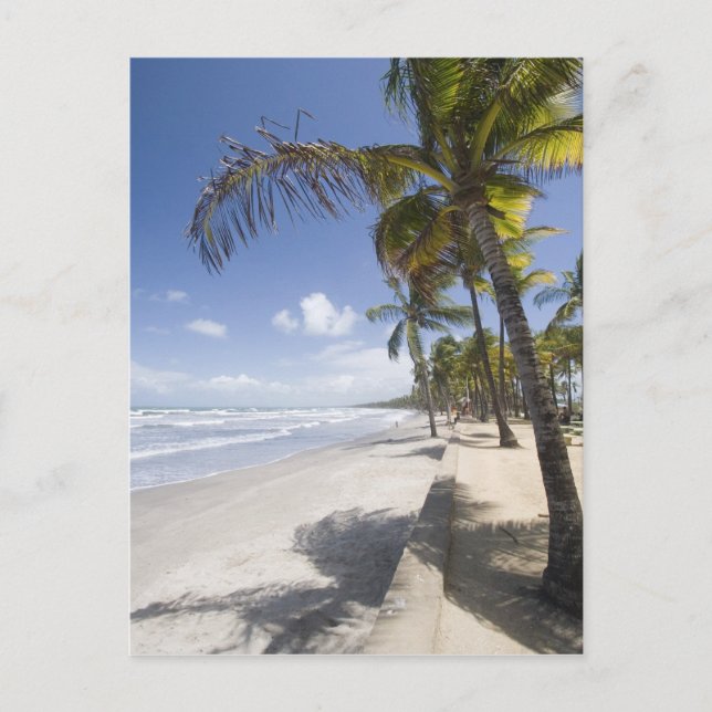 Karibien - Trinidad - Manzanilla Beach på Vykort (Framsida)