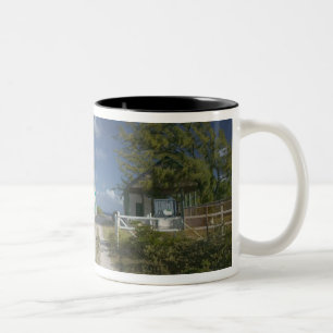 Karibien, TURKS & CAICOS, Grand Turk Island, 3 Två-Tonad Mugg