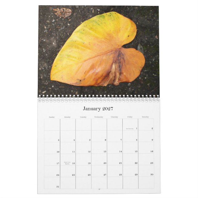 Karibisk färg… blommakalendern 2009 kalender (Jan 2027)