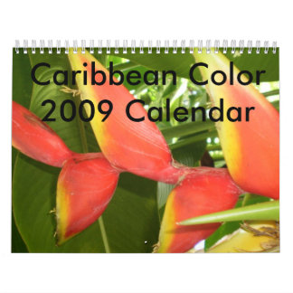 Karibisk färg… blommakalendern 2009 kalender