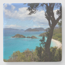 Karibisk fjärd stenunderlägg