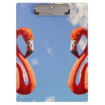 Karibisk Flamingo-par