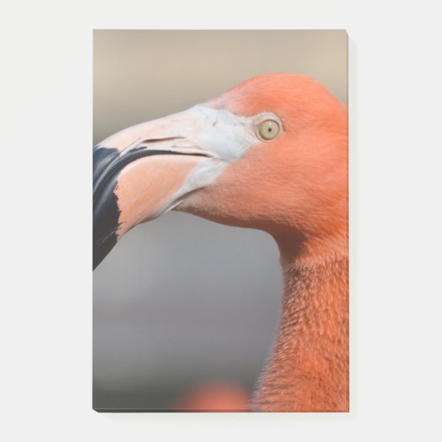 Karibisk Flamingo Post-it Block (Framsida)