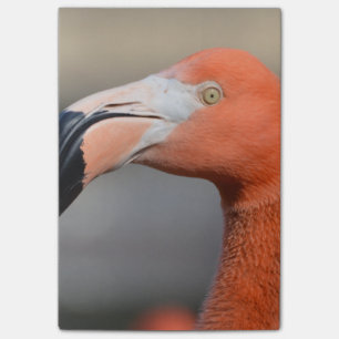 Karibisk Flamingo Post-it Block