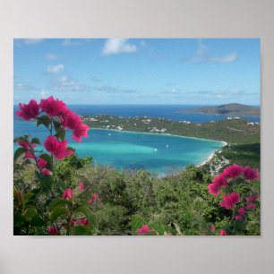 Karibisk Paradis Tropisk Strand Foto Poster