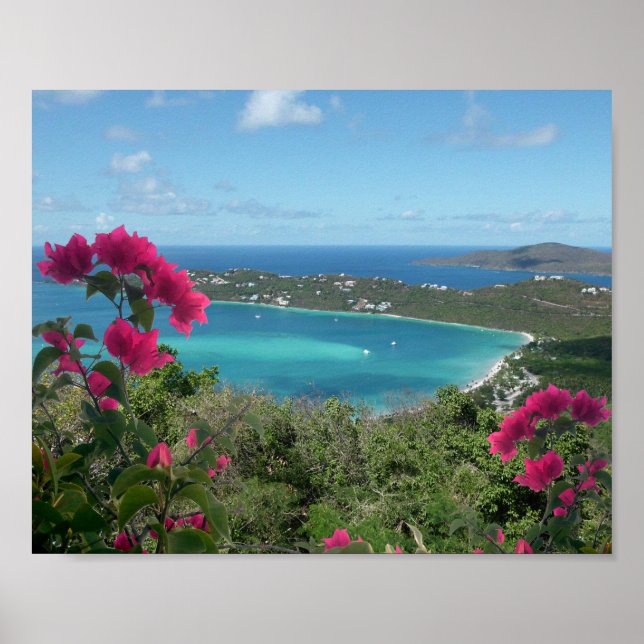 Karibisk Paradis Tropisk Strand Foto Poster (Framsidan)