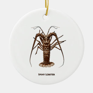 Karibisk Spiny hummer Julgransprydnad Keramik