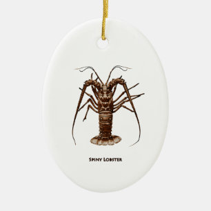 Karibisk Spiny hummer Julgransprydnad Keramik
