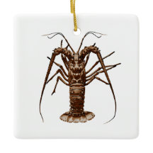 Karibisk Spiny hummer