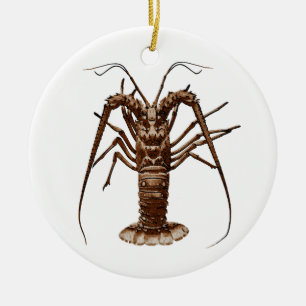 Karibisk Spiny hummer Julgransprydnad Keramik